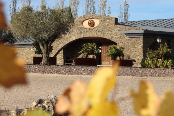 Visitas guiadas rio negro bodegas