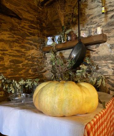 Inicio retaurante sabory