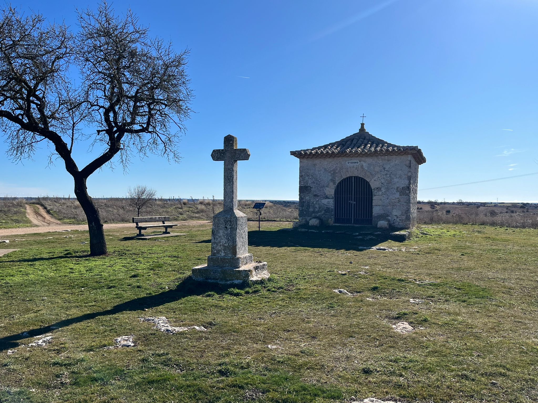 whatsapp image 2026 01 20 at 21.05.01