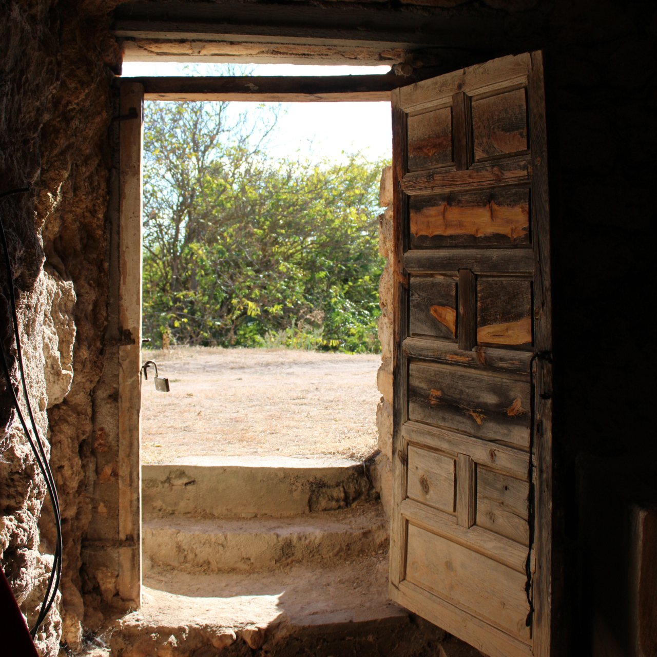 Gárgoles de abajo 3