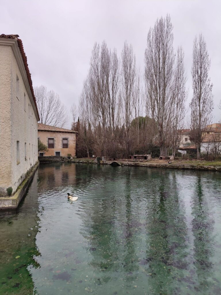 whatsapp image 2026 03 15 at 15.37.05